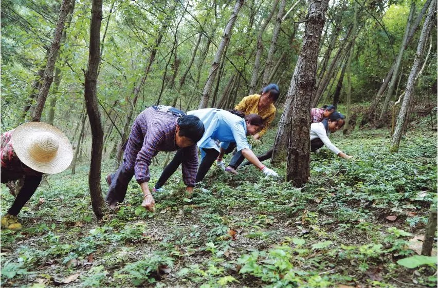 银娱优越会(中国)股份有限公司